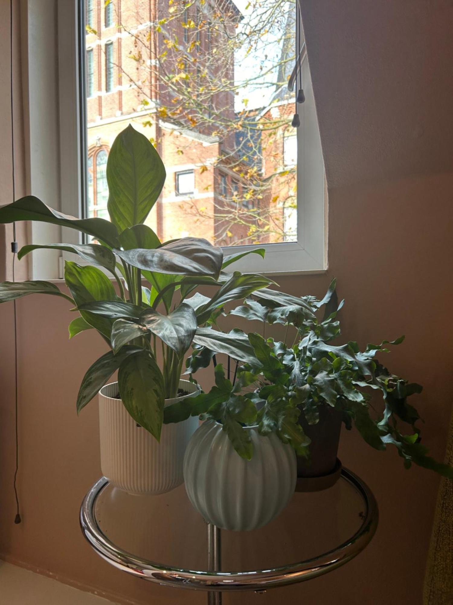 Rand Centrum, Rust En Gasthuis